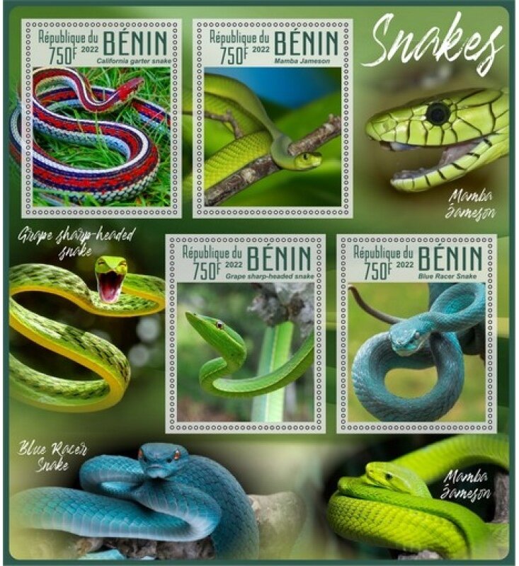 Fauna Snakes