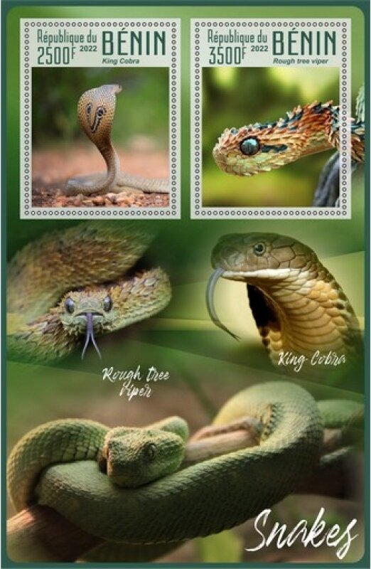 Fauna Snakes