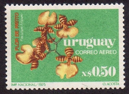 "Flor de patito"