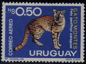 Stamp, Geoffroy's Cat (Felis geoffroyi paraguae) , Uruguay,  