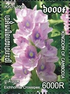 Stamp, Eichhornia crassipes, Cambodia,  , Flowers, Plants (Flora)