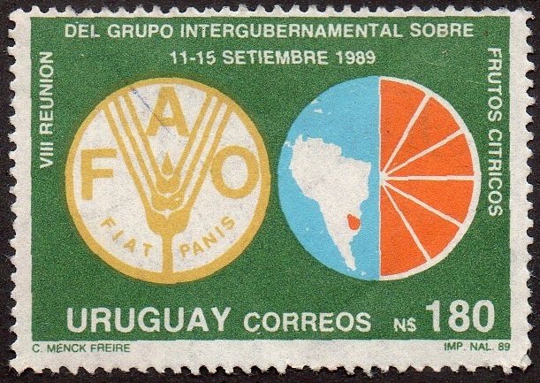 FAO emblem, map and citrus slice