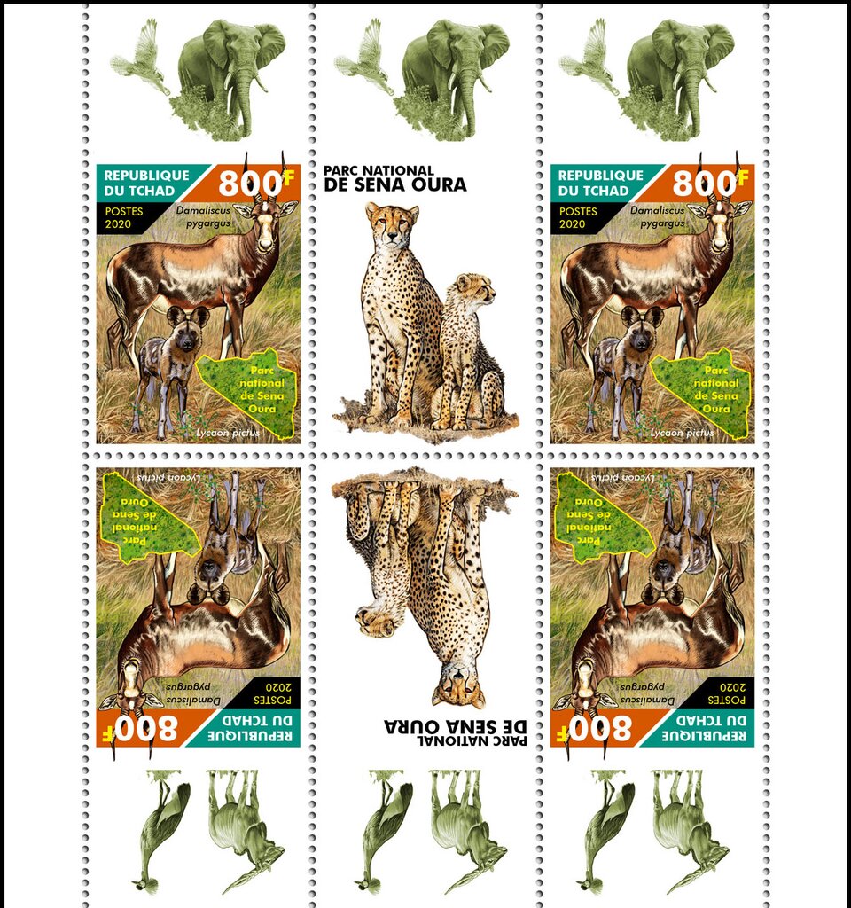 10th Anniversary of the Sena Oura National Park