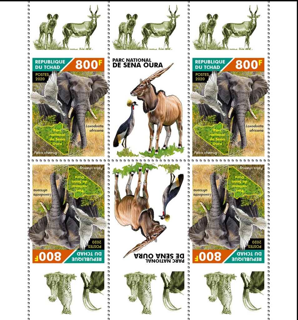 10th Anniversary of the Sena Oura National Park