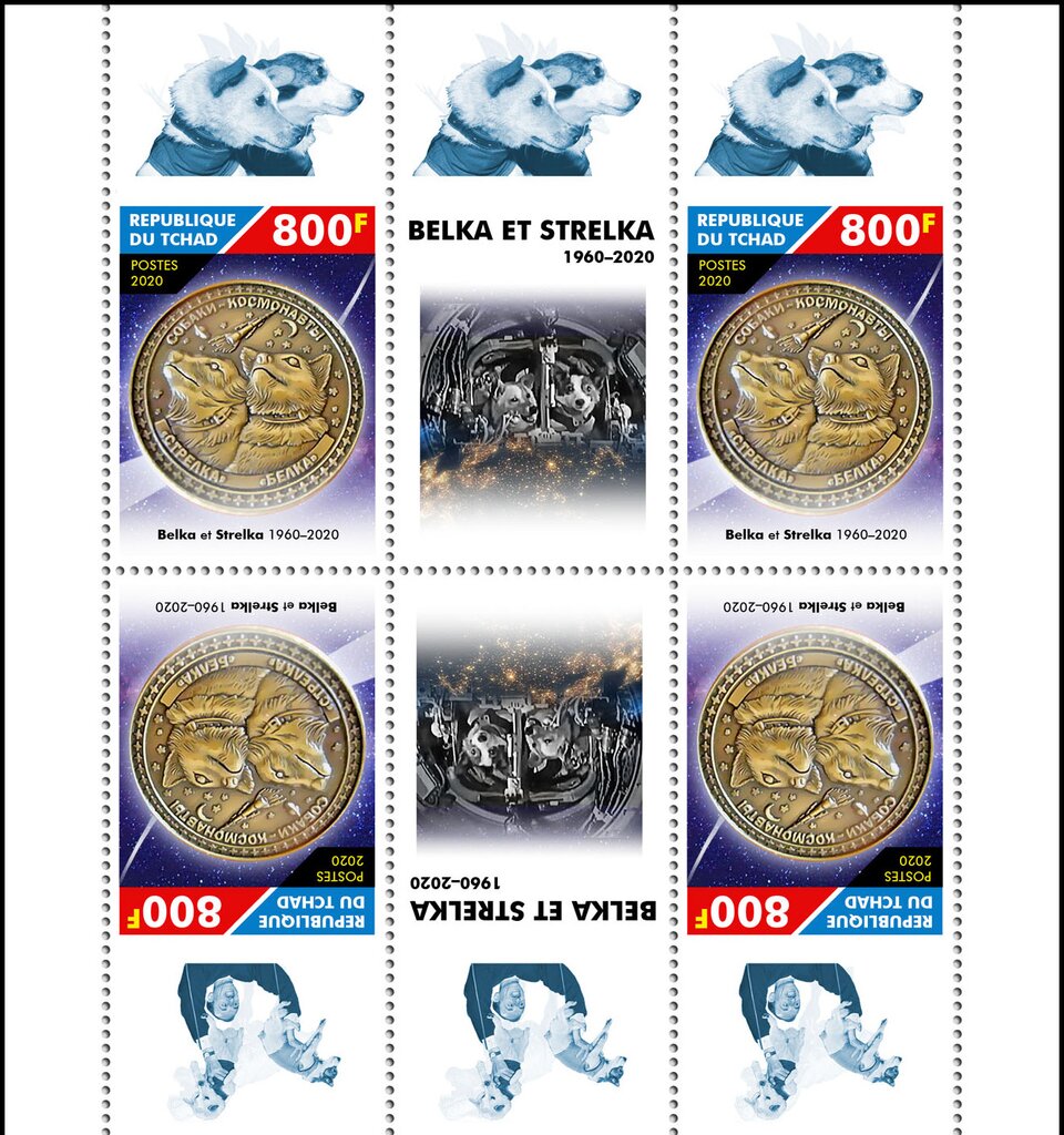 60th Anniversary of the Flight of Belka and Strelka
