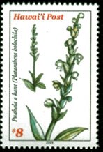 'Okika o Hawai'i (Hawaiian Orchids Part I in a series)