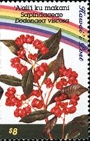 Hawaiian Flowers