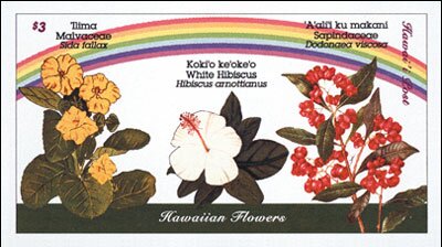 Hawaiian Flowers