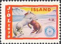 Horses fighting