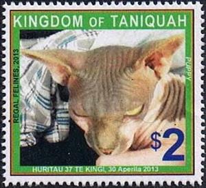 Stamp, Puppy (cat), Cinderellas,  , Animals (Fauna), Cats, Mammals