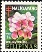 Waling-waling - Philippine Orchid