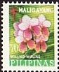 Waling-waling - Philippine Orchid