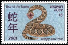 Year of the Snake. Chinese New Year