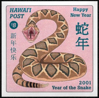 Year of the Snake. Chinese New Year
