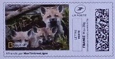 Stamp, Fox Cubs in colour, France,  , Animals (Fauna), Foxes, Infant Animals, Mammals