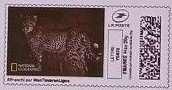 Stamp, Leopard 2, France,  , Animals (Fauna), Leopards, Mammals, Wild Cats