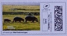 Stamp, Three Hippos, France,  , Animals (Fauna), Hippopotamuses, Mammals