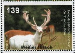 Deer