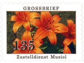 Sommerblumen