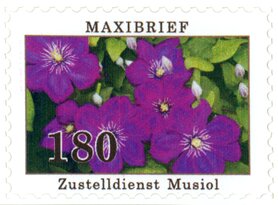 Sommerblumen