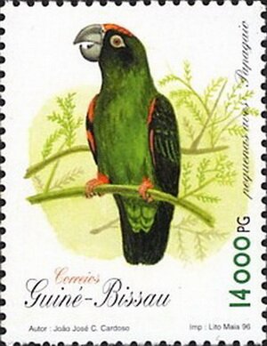 Stamp, Aratinga (Aratinga sp.), Guinea-Bissau,  , Birds