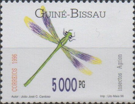 Dragonfly