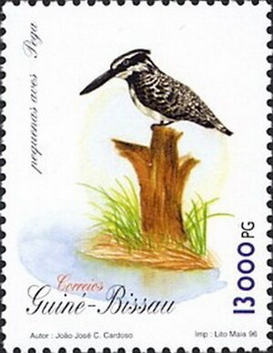 Stamp, Pied kingfisher (Ceryle rudis), Guinea-Bissau,  , Birds