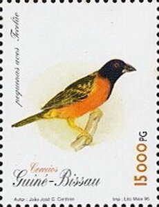 Stamp, Village weaver (Ploceus cucullatus), Guinea-Bissau,  , Birds