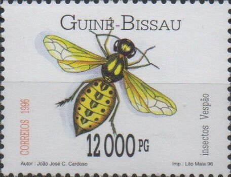 Wasp