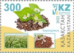 Agricultural Products of Kazakhstan