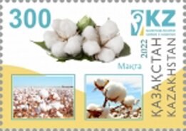 Cotton