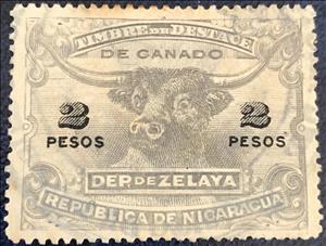 Stamp, Bull, Nicaragua, Zelaya,  , Animals (Fauna), Bulls and Cows, Cattle, Mammals