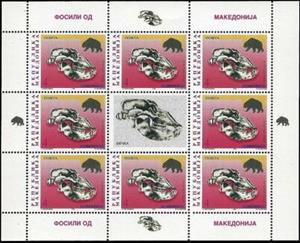 Mini Sheet, Cave Bear (Ursus spelaeus), North Macedonia,  , Fossils