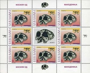 Mini Sheet, Monkey (Mesopithecus pentelici), North Macedonia,  , Fossils