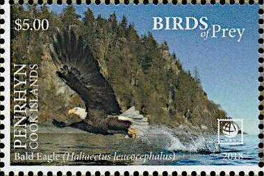 Stamp, Bald Eagle (Haliaeetus leucocephalus), Penrhyn,  , Animals (Fauna), Birds, Birds of Prey, Eagles