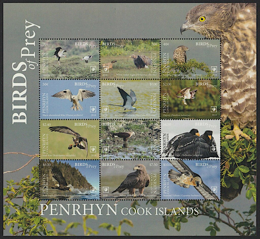 Birds of Prey