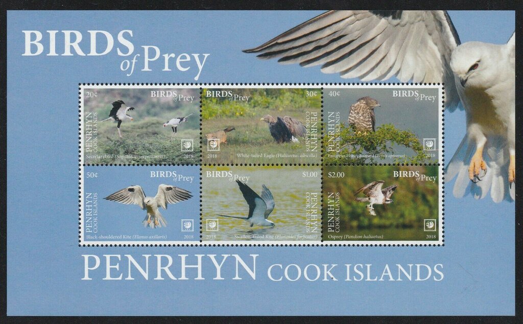Birds of Prey