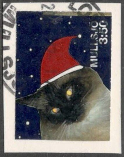 Cat "Findus" with Santa hat
