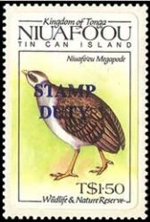 Niuafo'ou Megapode (Megapodius pritchardii)