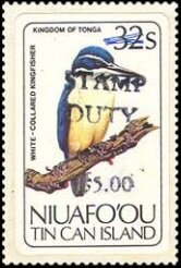 White-collared Kingfisher (Todirhamphus sacer)