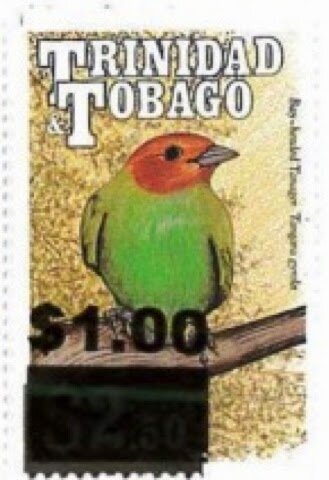 Bay-headed Tanager (Tangara gyrola) - Surcharged