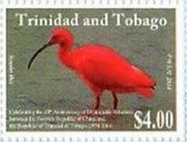 Scarlet Ibis (Eudocimus ruber)