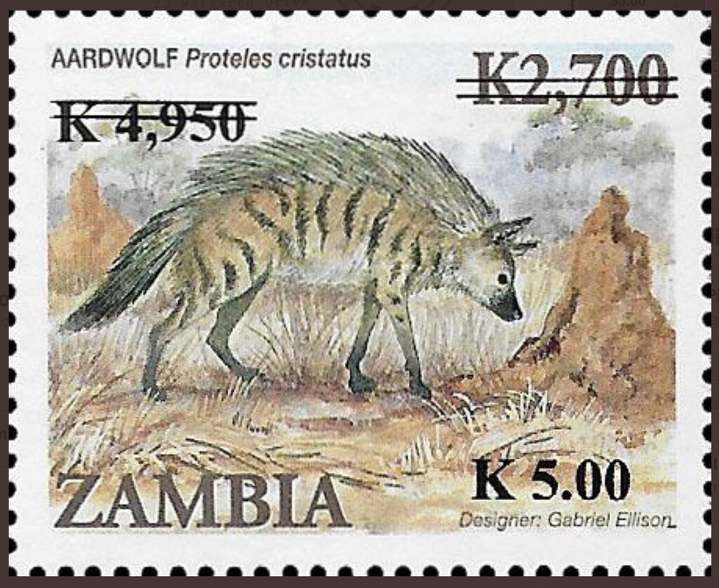 Surcharged Aardwolf (Proteles cristatus) Re-Surcharged