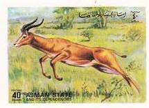 Impala (Aepyceros melampus)