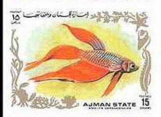 Kemp Fish
