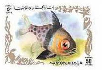Oog Fish