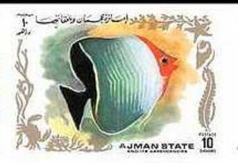 Pincet Fish