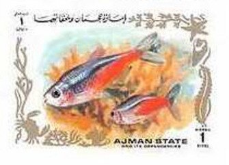 Red/White/Blue Fish