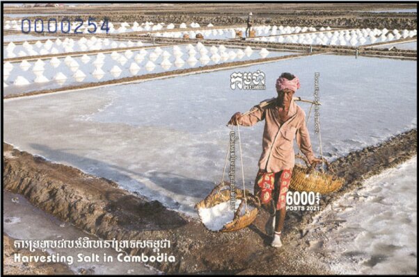 Saltmaking In Cambodia