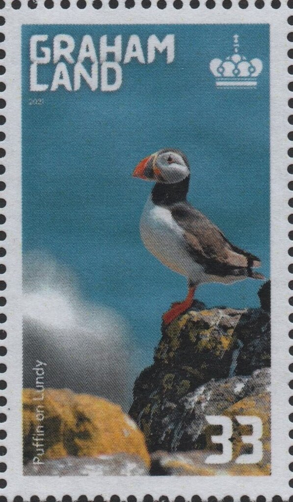 Graham Land, Lundy Island Puffin